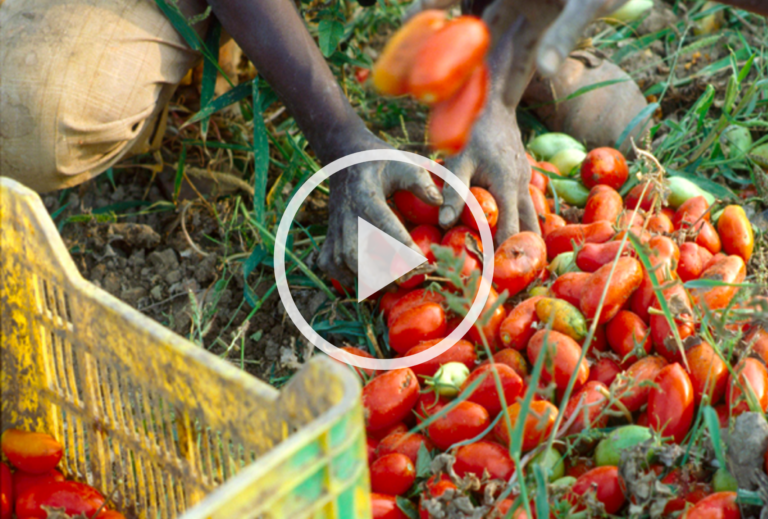 Human Rights Impact Assessment i praktiken