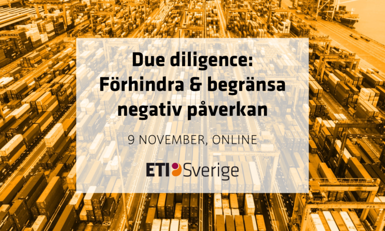 Due diligence förhindra begränsa