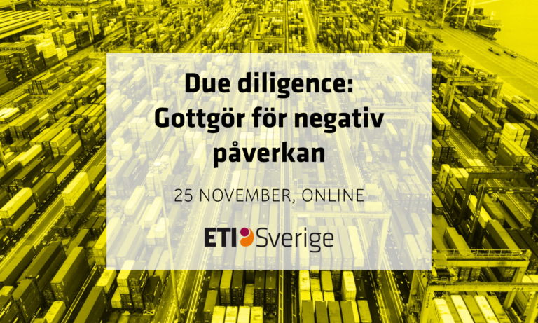 Due diligence: Gottgör för negativ påverkan på människor & miljö