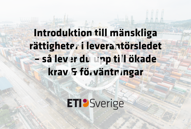 Mänskliga rättigheter i globala leverantörsled