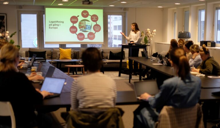 introduktion human rights due diligence