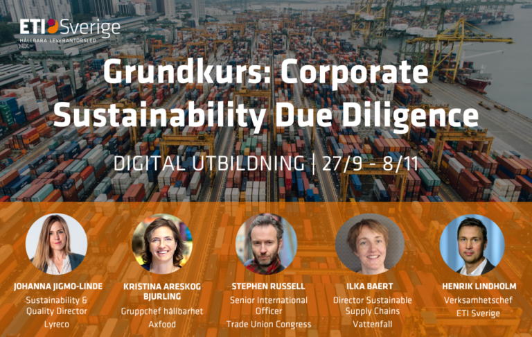Grundkurs i corporate sustainability due diligence