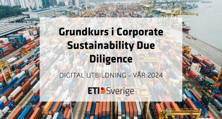 Grundkurs CSDD vår 2024