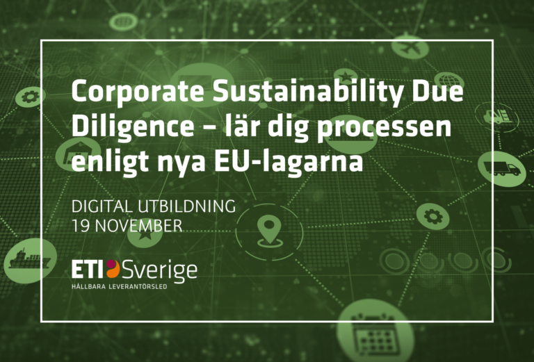 Corporate Sustainability Due Diligence – lär dig processen enligt nya EU-lagarna (digital)