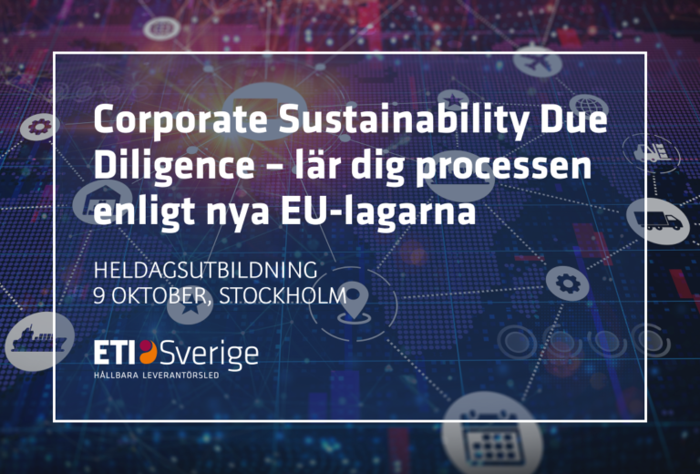 Corporate Sustainability Due Diligence – lär dig processen enligt nya EU-lagarna