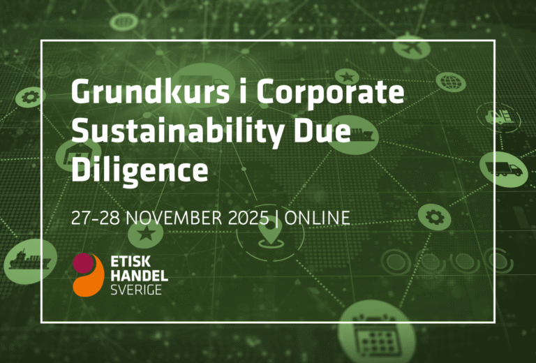 Grundkurs i corporate sustainability due diligence – digital