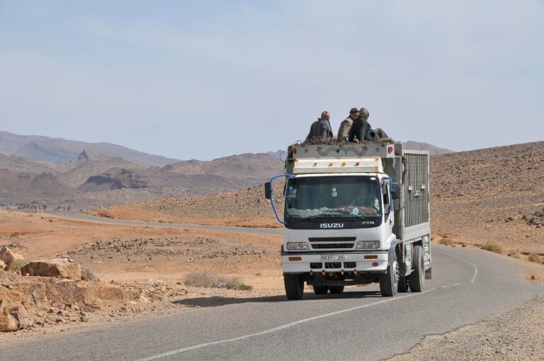 New programme targets transport and gender-related risks in agriculture