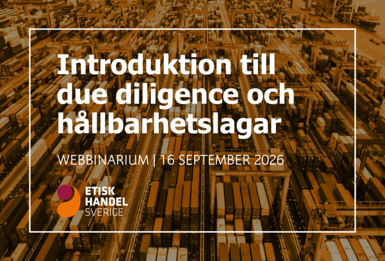 Introduktion till due diligence och hållbarhetslagar