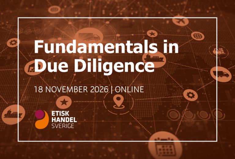 Fundamentals in Due Diligence