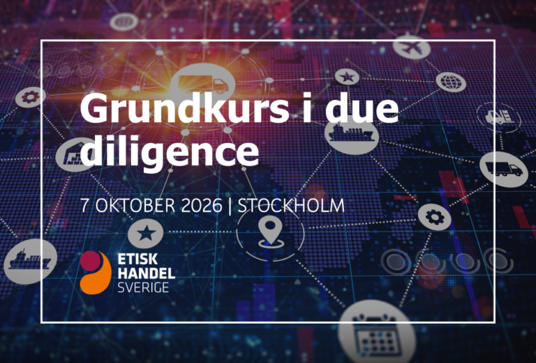 Grundkurs i due diligence